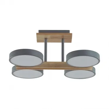 Потолочный светильник Lumion Ledio 8031/72CL