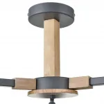 Потолочная люстра Lumion Moderni 8096/3C