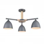 Потолочная люстра Lumion Moderni 8096/3C