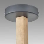 Потолочная люстра Lumion Moderni 8096/3C