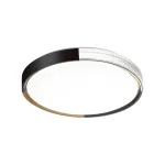 Потолочный светильник Sonex Velio 7629/DL