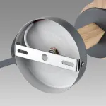 Потолочная люстра Lumion Moderni 8096/3C