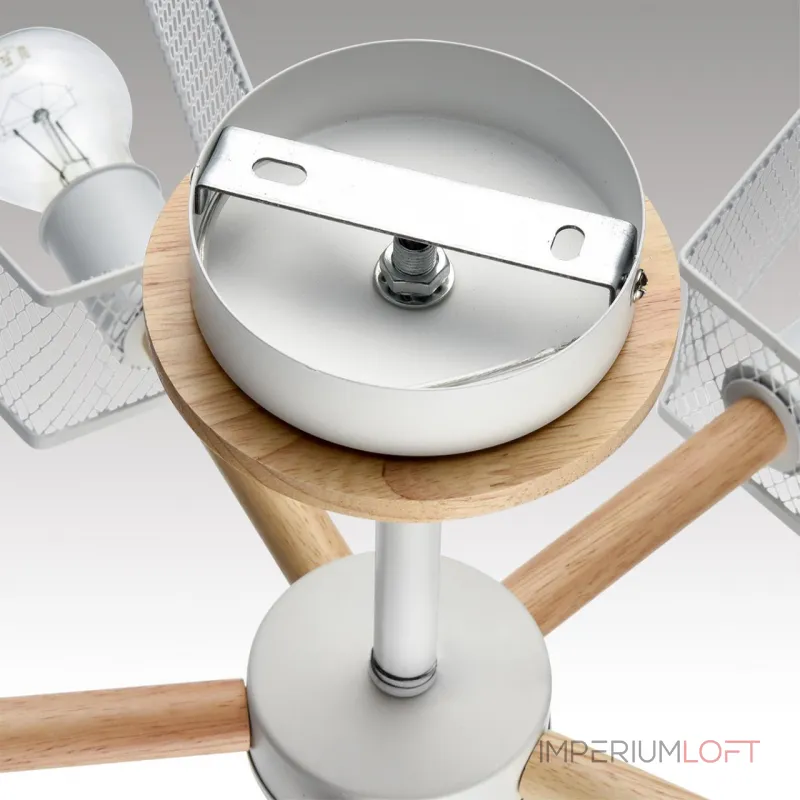 Потолочная люстра Lumion County 8246/5C