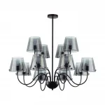 Люстра на штанге Lumion Moderni 6570/12C