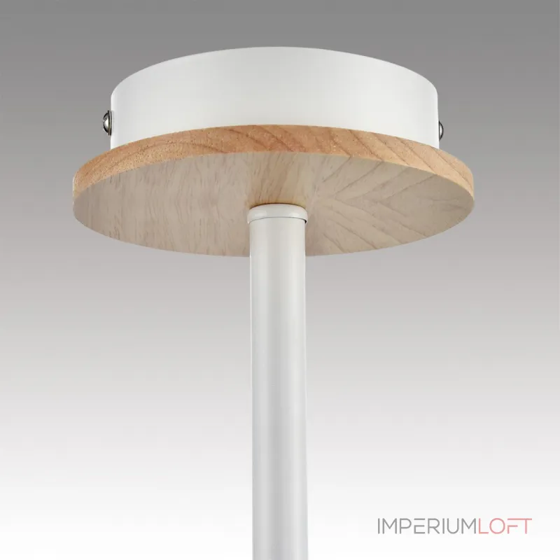 Потолочная люстра Lumion County 8246/5C