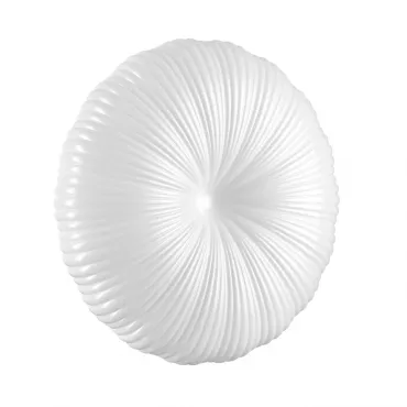 Настенно-потолочный светильник Сонекс Pale 7678/ELN