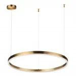 Подвесная люстра Lumion Ledio 6531/50L