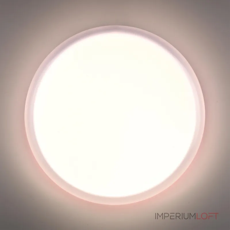 Настенно-потолочный светильник Сонекс Pale 7776/ELN от ImperiumLoft Настенно-потолочный светильник Сонекс Pale 7776/ELN от ImperiumLoft