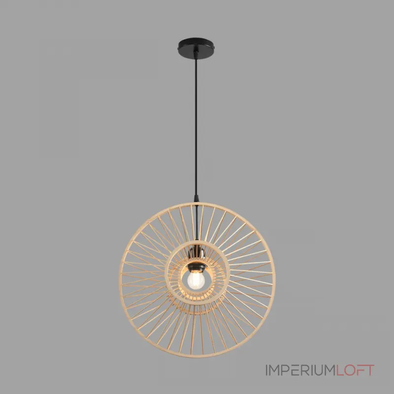 Подвесной светильник Lumion Eco 8383/1