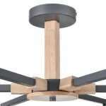 Потолочная люстра Lumion Moderni 8096/6C