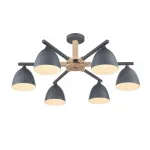 Потолочная люстра Lumion Moderni 8096/6C