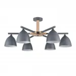 Потолочная люстра Lumion Moderni 8096/6C