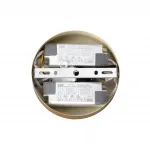 Подвесная люстра Lumion Ledio 6564/60L
