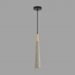 Подвесной светильник Lumion Suspentioni 8351/1C