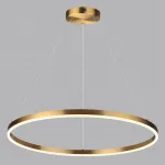 Подвесная люстра Lumion Ledio 6531/67L