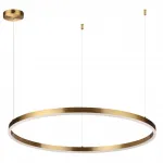 Подвесная люстра Lumion Ledio 6531/67L