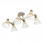 Потолочная люстра Lumion Moderni 8045/6C