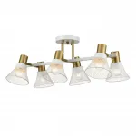 Потолочная люстра Lumion Moderni 8045/6C