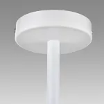 Потолочная люстра Lumion Moderni 8097/3C