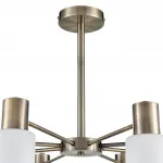 Люстра на штанге Lumion Comfi 8100/8C