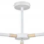 Потолочная люстра Lumion Moderni 8097/3C