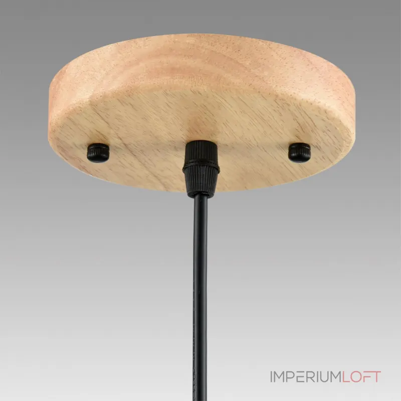 Подвесной светильник Lumion Suspentioni 8050/1A