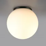 Потолочный светильник Odeon light Nature 7124/1C от ImperiumLoft