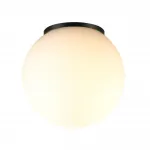 Потолочный светильник Odeon light Nature 7124/1C от ImperiumLoft