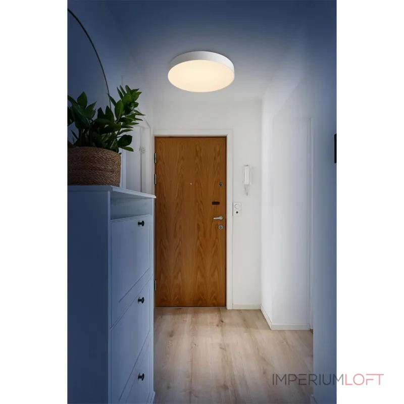 Настенно-потолочный светильник Сонекс Basica 7779/ELN от ImperiumLoft