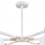 Потолочная люстра Lumion Moderni 8097/6C