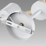 Потолочная люстра Lumion Moderni 8097/6C