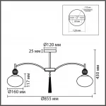 Потолочная люстра Lumion Neoclassi 8273/8C