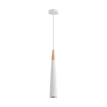 Подвесной светильник Lumion Suspentioni 8352/1C Подвесной светильник Lumion Suspentioni 8352/1C