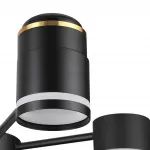 Люстра на штанге Lumion Comfi 8234/6C