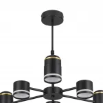 Люстра на штанге Lumion Comfi 8234/6C