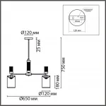 Люстра на штанге Lumion Moderni 6585/5