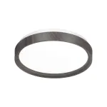 Потолочный светильник Sonex Woodi 7627/EL