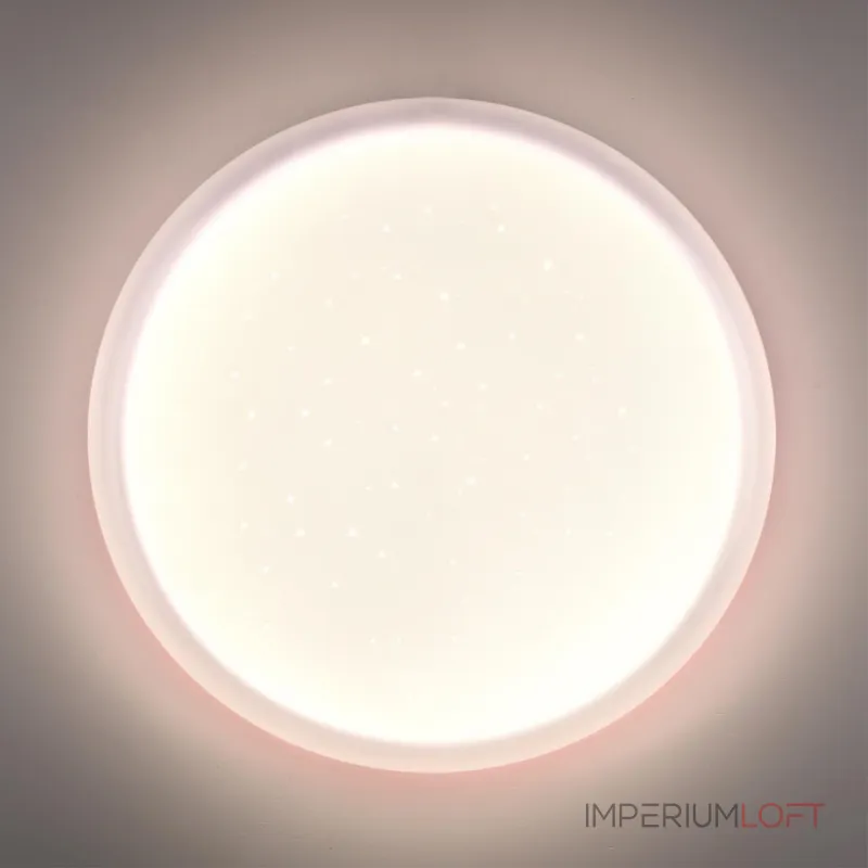 Настенно-потолочный светильник Сонекс Pale 7774/DLN от ImperiumLoft