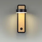 Настенный светильник Lumion LEDIO LN23 036 5631/5WL LED 5W 3000K 230Лм 220V LELAND Белый от ImperiumLoft