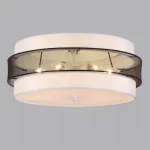 Потолочный светильник Lumion Moderni 359446 от ImperiumLoft