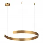 Подвесная люстра Lumion Ledio 6535/43L