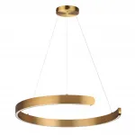 Подвесная люстра Lumion Ledio 6535/43L