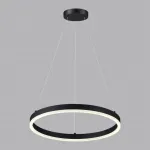 Подвесная люстра Lumion Ledio 6530/34L