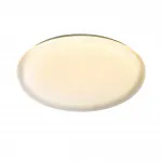 Настенно-потолочный светильник Сонекс Pale 7774/ELN от ImperiumLoft