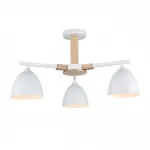 Потолочная люстра Lumion Moderni 8095/3C