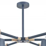 Потолочная люстра Lumion Moderni 8098/6C