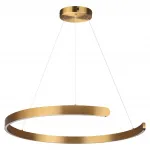 Подвесная люстра Lumion Ledio 6535/57L