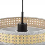 Подвесной светильник Lumion Moderni 8043/1