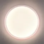 Настенно-потолочный светильник Сонекс Pale 7774/ELN от ImperiumLoft