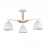 Потолочная люстра Lumion Moderni 8095/3C